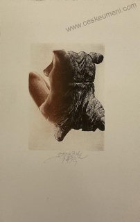 Kuklík Ladislav: Torzo