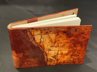 Brabenec Jan: Zápisník malý