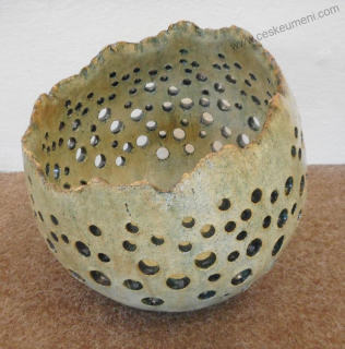 Hejhalová Veronika: Skořepina děrovaná velká na nožičkách