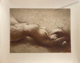 Hřivnáč Tomáš: U země