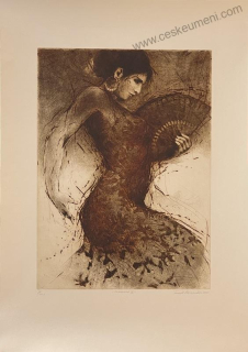 Hřivnáč Tomáš: Flamenco VI.