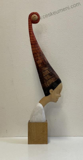 Zedník Tomiš: Účes alá šašek