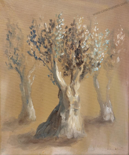 Kurovská Lenka: Olivovník bonsai II