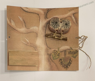 Strunová Gebrt Květuše: Sova moudrosti