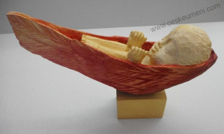 Zedník Tomiš: V křídlech