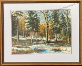 Diblík Tomáš: Sněhové koberečky