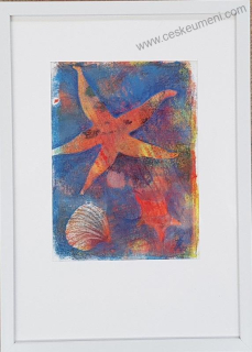 Klimešová Pavla: Asteroidea