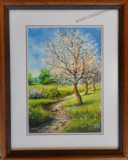 Diblík Tomáš: Máj