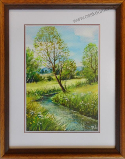 Diblík Tomáš: Letní nálada