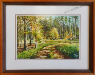 Diblík Tomáš: Vůně lesa