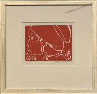 Janeček Ota: Hlava dívky