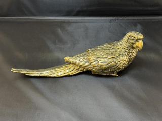 Garguláková Ivana: Papoušek