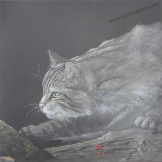 Gabriel Alex: Kočka v noci