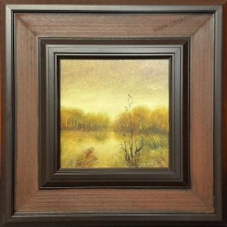 Vacek Pavel: Rybník