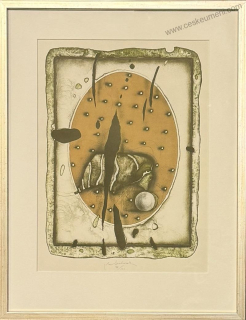 Suchánek Vladimír: Bílá kulička