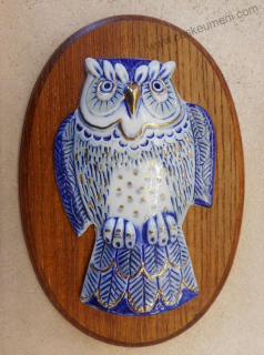 Motlíková Zuzana: Sova okatá