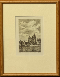 Luňák Hynek: Karlův most