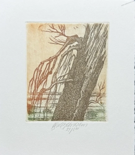 Vychodilová Olga: Strom I.