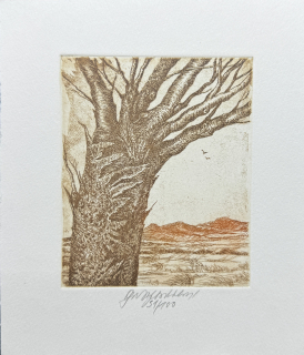 Vychodilová Olga: Strom II.