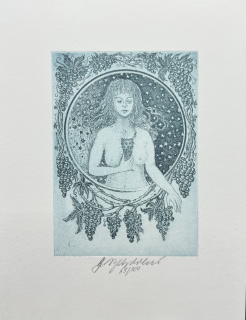 Vychodilová Olga: Vinobraní modré