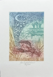 Vychodilová Olga: Hvězdná noc