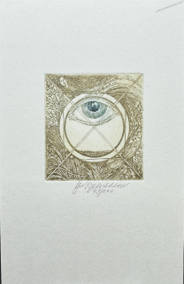 Vychodilová Olga: Oko