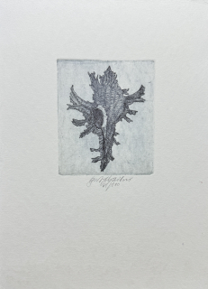 Vychodilová Olga: Ulita