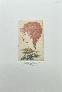 Vychodilová Olga: Dívka