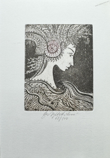 Vychodilová Olga: Sen noci svatojánské