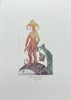 Vychodilová Olga: Šašek