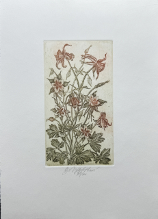 Vychodilová Olga: Vorlíček