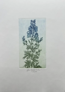 Vychodilová Olga: Oměj šalamounek