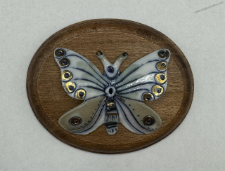 Motlíková Zuzana: Motýl (A)