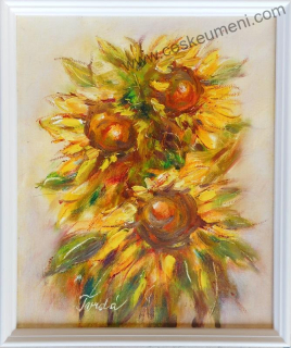 Tvrdá Vlasta: Slunečnice