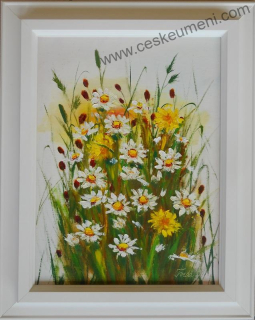 Tvrdá Vlasta: Kopretiny