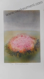 Benešová Daniela: Keř