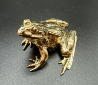 Garguláková Ivana: Žába