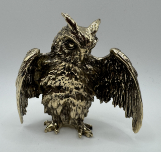 Garguláková Ivana: Sova velká