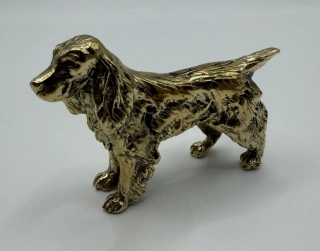 Garguláková Ivana: Kokršpaněl