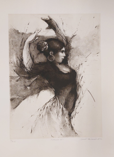 Hřivnáč Tomáš: Flamenco VIII.