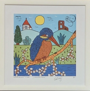 František Ringo Čech: Ledňáček