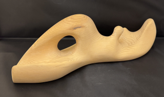 Patřičný Martin: Na břehu s mládětem