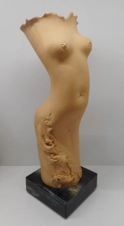 Dudycha Jiří: Viola