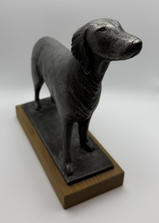 Fausová Barbora: Retrívr