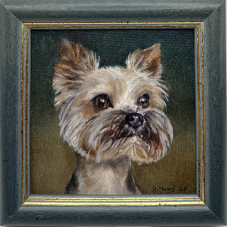 Mareš Rudolf: Šampion