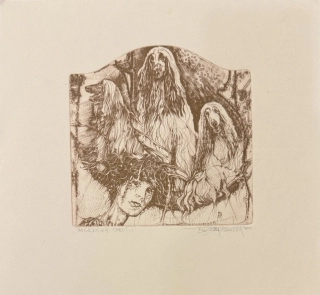 Hlavatý Pavel: Afgánský chrt a)