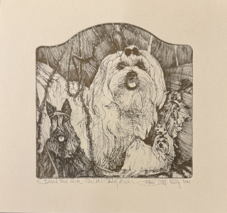 Hlavatý Pavel: Maltézáček a skotský chrt a)