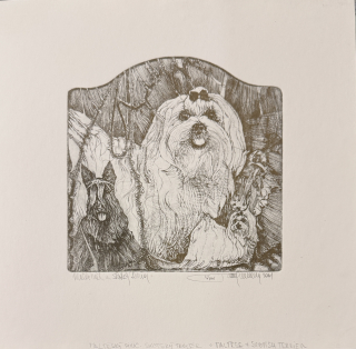 Hlavatý Pavel: Maltézáček a skotský chrt b)