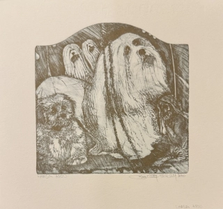 Hlavatý Pavel: Lhasa Apso