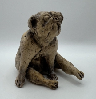 Pošva Jiří: Mops